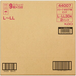 ԉ [t@pc^Cv@܂ŉ@2񕪁@sN@L|LL 30×2