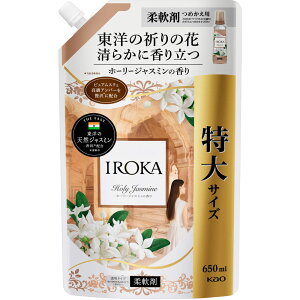 ԉ IROKA z[[WX~ XpEg 650ml