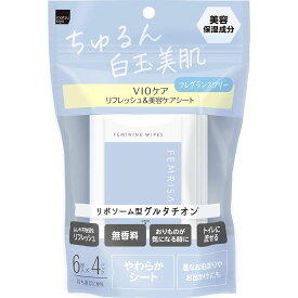 フェムリサ エニーシート