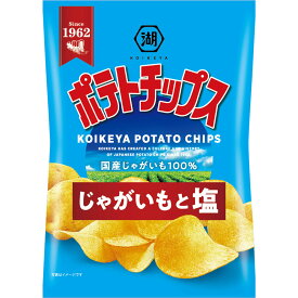 湖池屋 ポテトチップス じゃがいもと塩 55g