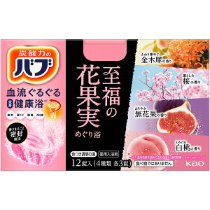 ԉ ou@̉ԉʎ߂藁 12 i򕔊Oij