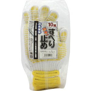 �Óc���� ����~�ߕt�R�� 10�o