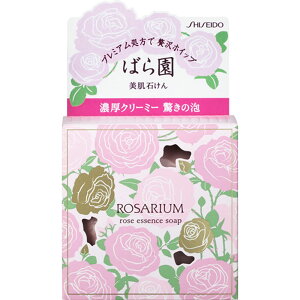  ΂牀@[YGbZX\[v@RX 100g