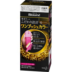 花王 ブローネ ワンプッシュカラー 6ダークブラウン 80g （医薬部外品）