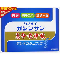 楽天市場】恵命我神散 100g×4袋の通販