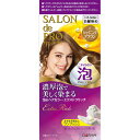 ダリヤ サロン ド プロ 泡のヘアカラー・エクストラリッチ（白髪用） 1 シャイニングブラウン 50g＋50g（医薬部外品） ランキングお取り寄せ