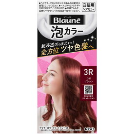 花王 ブローネ 泡カラー 3Rロゼブラウン 108ml （医薬部外品）