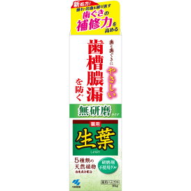 小林製薬 生葉無研磨タイプ 95g （医薬部外品）