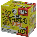 アイリスオーヤマ ぽかぽか家族 貼るミニ PKN−30HM