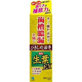 小林製薬 生葉EX 100g （医薬部外品）