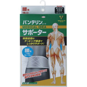 a oeR[T|[^[ p jp VCjOO[ 傫