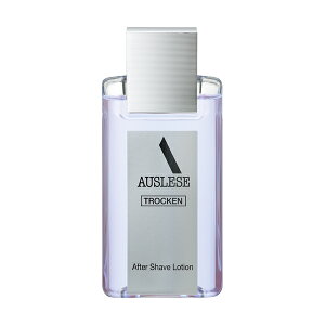  AEX[[ gbP At^[VF[u[VSHISEIDO jpϕi