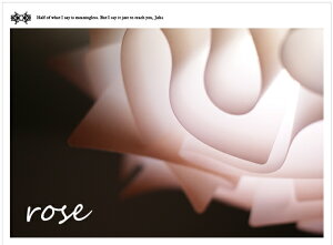 V[OCgJKC156browniԐڏƖ y_gCg VƖj