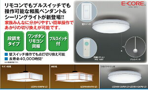 LEDy_g@a@yRzLEDP81001PW-LD