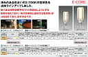 HID形(電源別置形)　LEDランプ■71W 10000lm 昼白色■LDTS71N-G-E39