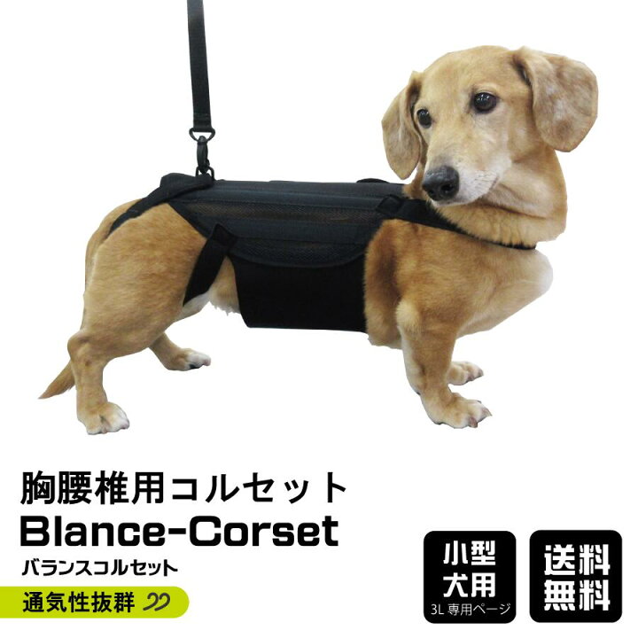 楽天市場 バランスコルセット 3l専用ページ アニマルオルソジャパン メッシュ ダックス 小型犬 リード付 犬用 介助 送料無料 ヘルニア 変形性脊椎症 松本義肢製作所 楽天市場店