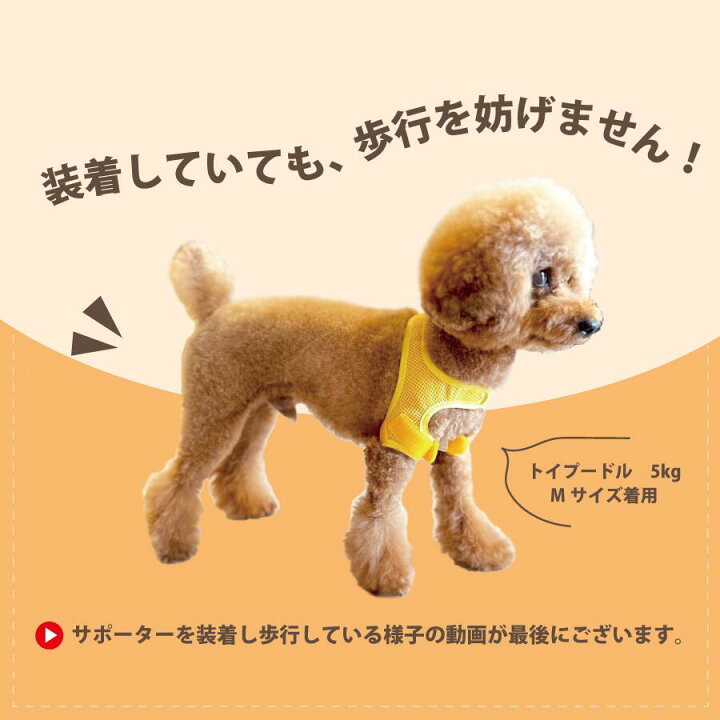 楽天市場】ホールドショルダー holdshoulder 肩脱臼 肩安定 固定 肩 