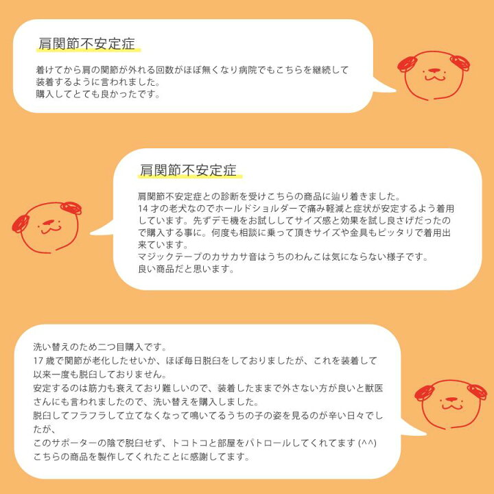 楽天市場】ホールドショルダー holdshoulder 肩脱臼 肩安定 固定 肩 