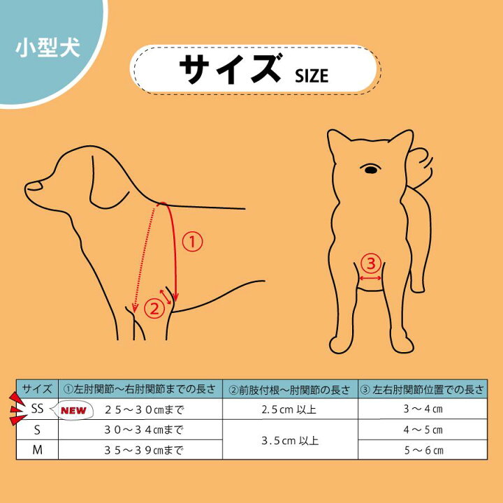楽天市場】ホールドショルダー holdshoulder 肩脱臼 肩安定 固定 肩 