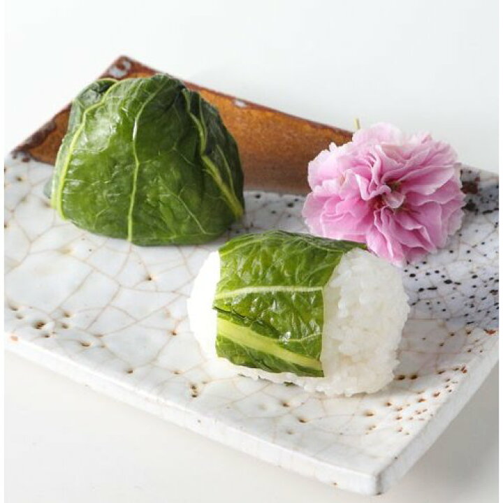 市場 自家農園栽培 0ｇ 青高菜漬け