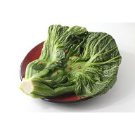 自家農園栽培青高菜（たかな）漬け 2.5kg　詰め合わせ　送料無料（北海道/沖縄/東北/離島を除く）　おに…