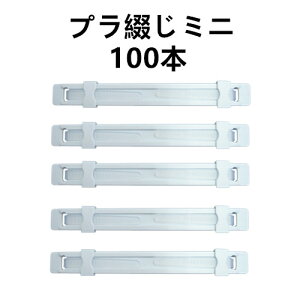 vԂ~j 100 i5×20pbNj  Ԃ