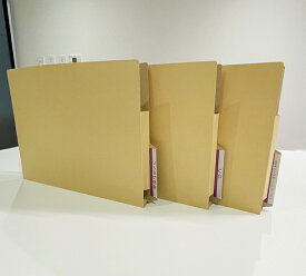 マチ付き横見出し個別フォルダー　5枚セット　【 ファイル用品 オフィスファイリング ホームファイリング 個別フォルダーラテラルファイリング 書類整理用品 】