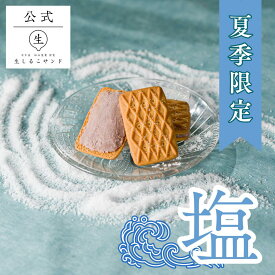 【生しるこサンド塩】 高級感 贈答 塩 贈答 贈りもの プレゼント クリームサンド お土産 母の日 常温 個包装 名古屋土産 取り寄せ 和 しっとり 土産 しるこ 名古屋 和菓子 あずき 柔らかい おみやげ 話題 公式 お取り寄せ