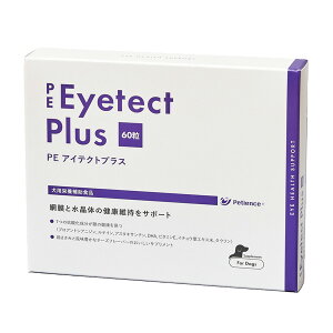 yő400~OFFN[|11/1`zPE ACeNgvX 60