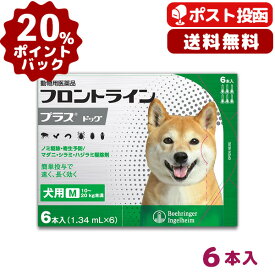 Twkjsdne13xzam