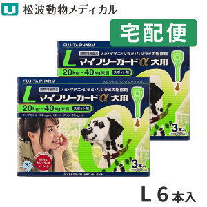 yő400~OFFN[|12/1`zypiz}Ct[K[h p L (20-40kg) 3{ 2Zbg