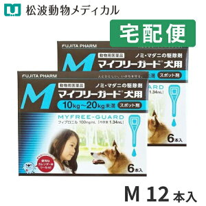 yő400~OFFN[|12/1`zypiz}Ct[K[hpMi10`20kgj1.34mL×6sybg@2Zbg