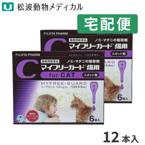 yő400~OFFN[|12/1`zypiz}Ct[K[hLp 0.5mL×6{@2Zbg