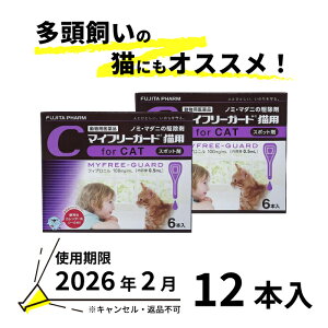 yBzypiz}Ct[K[hLp 0.5mL×6{@2Zbgy2026/2/28ԕiELZsz(m228)