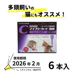 yBzypiz}Ct[K[hLp 0.5mL×6{y2026/2/28ԕiELZsz(m228)