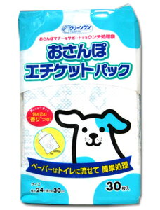 yő400~OFFN[|12/1`zۃG`PbgpbN 30