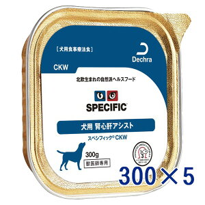 XyVtBbN p tS̃AVXgyCKWz 300ggC×5 (sp11)y2026/02iEԕisz