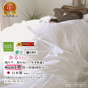 楽天1位★松並木 1重 軽い ガーゼ 布団カバー 1枚仕立 オフ白 肌に優しい 無添加ガーゼ【日本製】綿100% 化学物質不使用【軽い・さらふわ・ちくちくしない】年中快眠!敏感肌にも安全/エコテックス認証 ヌーディコットン【ロングヒット】シングル セミダブル ダブル クイーン