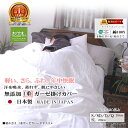 楽天1位★松並木 無添加 ガーゼ 1重 軽い 掛け布団カバー オフ白【日本製 綿100% 】元祖【化学物質不使用】エコテックス認証/敏感肌・赤ちゃんも安心【快眠・汗を吸収・蒸れない・さらふわ】ヌーディコットン 洗って育つ【ロングヒット】シングル セミダブル ダブル クイーン