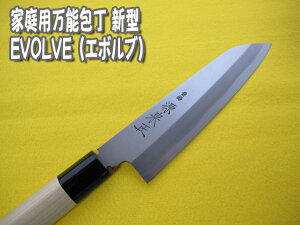  [IZUMIMASA]EVOLVE(G{u) 165mmV^EƒpАn\yVsX̔I