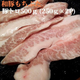 和豚もちぶた豚トロ500g（250g×2P） 豚とろ トントロ ピートロ 豚肉 豚 肉 焼肉 焼き肉 ヤキニク やきにく あす楽対応