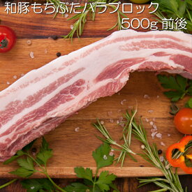和豚豚もちぶたバラ肉ブロック 煮豚用 ベーコンの原料 角煮の食材 焼肉 塩豚の原料 ポッサム用