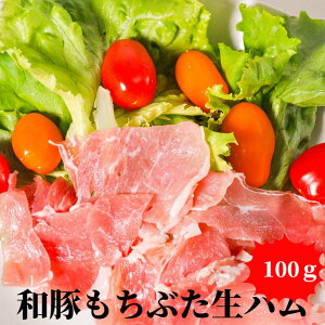 a؂Ԃn؂藎Ƃ100g܂ T Ε NX}XMtg aj  Mtg T_̃gbsO ThCb` JXg[NTh sŨgbsO pX^̃gb