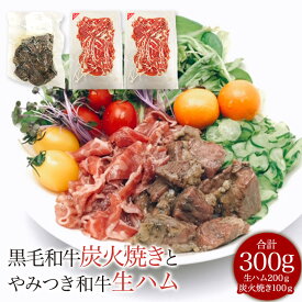 やみつき和牛炭火焼と和牛生ハムの詰合せ プレゼント お中元 熨斗対応 ギフト包装 100g3パック入り 最高のおつまみ 少し贅沢 ギフト グルメ お酒　ビール ワインに合う 内祝い