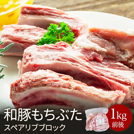 和豚もちぶた スペアリブ ブロック 1kg前後 骨付き豚肉 通常4人前 あす楽対応 BBQ　バーベキュー　キャンプ ダッチオーブン用 煮込料理用 お取り寄せグルメ