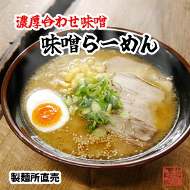 濃厚味噌ラーメン5食　送料無料(北海道・沖縄を除く)　ご当地　ラーメン　味噌　北海道　麺120g×5 スープ68g×5 自社製造