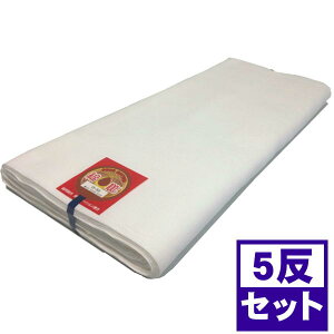 炵5ZbgTCYF 34cm ×  10mfށFؖȁ@100@{FFiN TV 炵n }XNn N10m@ꔽ  _` h ^I ނ  hЃObY  }XN쐬@