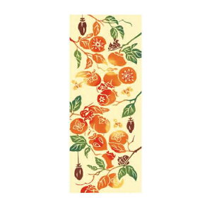 ʂiPij{FÊ`a`TCYF36cm×90cmkenema@C ˂܁@Ăʂ @ Ǌ| ^yXg[ ` H Il X IW JL 