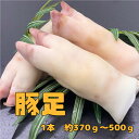 豚足　とんそく　10kg　約22〜30本（送料別）