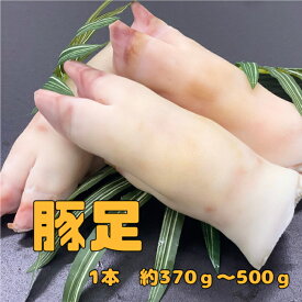 豚足　とんそく　10kg　約22〜30本（送料別）